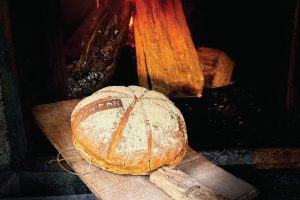 Museu do Pão e Museu da Cerveja unem-se para celebrar o Dia Internacional da Cerveja